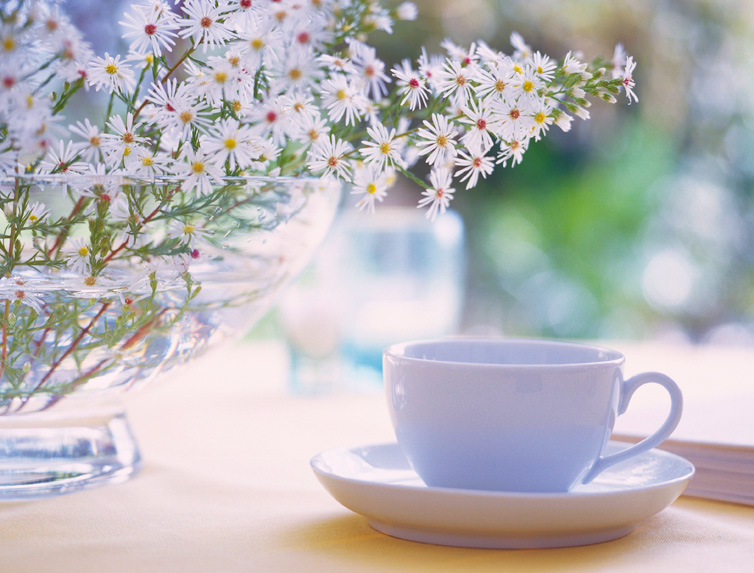 Cup of tea detail with vase of small daisies in the sunlight